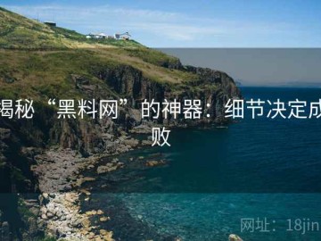 揭秘“黑料网”的神器：细节决定成败