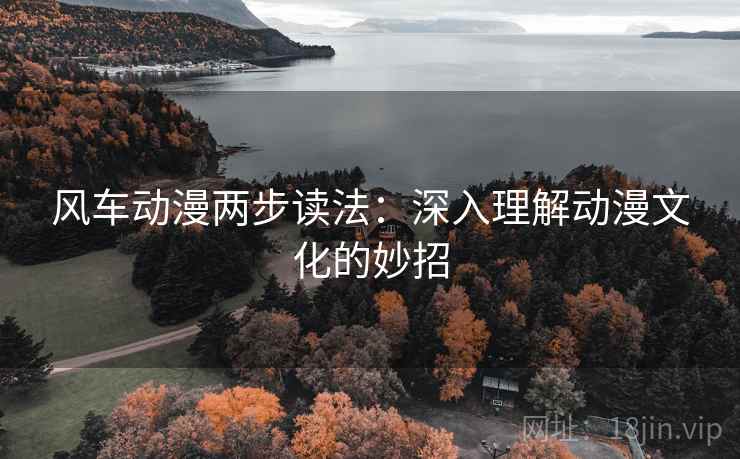 风车动漫两步读法：深入理解动漫文化的妙招