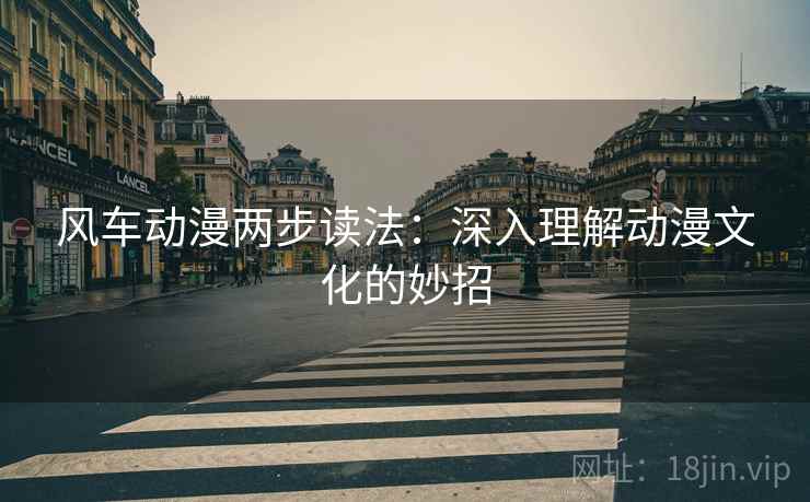 风车动漫两步读法：深入理解动漫文化的妙招