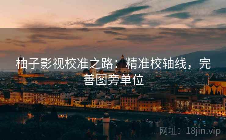 柚子影视校准之路：精准校轴线，完善图旁单位