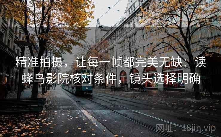 精准拍摄，让每一帧都完美无缺：读蜂鸟影院核对条件，镜头选择明确