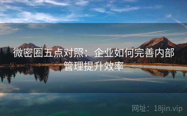 微密圈五点对照：企业如何完善内部管理提升效率