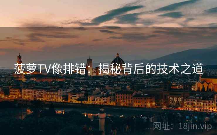 菠萝TV像排错：揭秘背后的技术之道