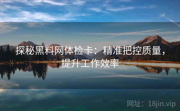 探秘黑料网体检卡：精准把控质量，提升工作效率